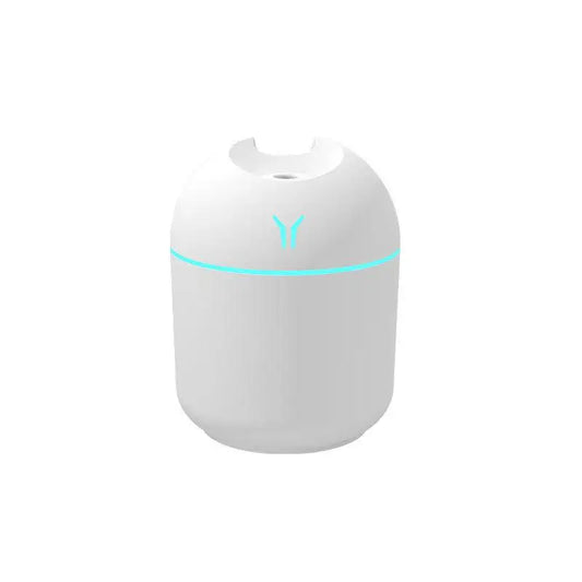 250ML Mini Diffuser